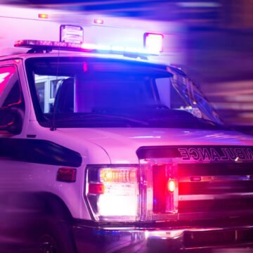 Motorist stopped for dog hit by one semi truck after another in chain reaction wreck