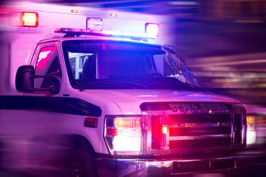 Motorist stopped for dog hit by one semi truck after another in chain reaction wreck