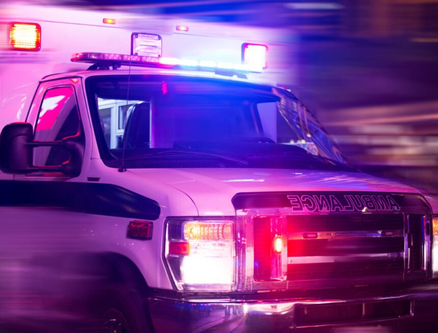 Motorist stopped for dog hit by one semi truck after another in chain reaction wreck