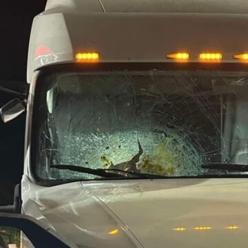 Multiple trucks targeted by pumpkin-thrower on Highways 401 and 402
