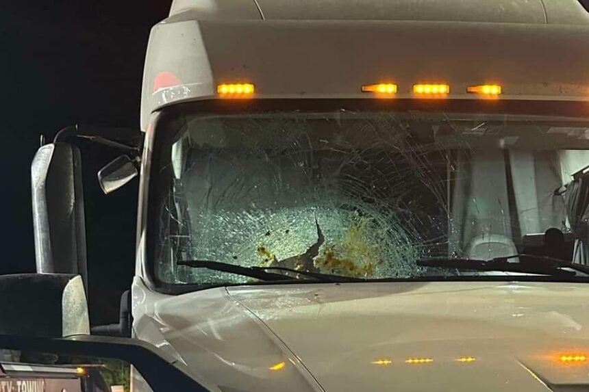 transport-truck-pumpkin-london-oct-2024-1-7074002-1729004734399.jpg Multiple trucks targeted by pumpkin-thrower on Highways 401 and 402