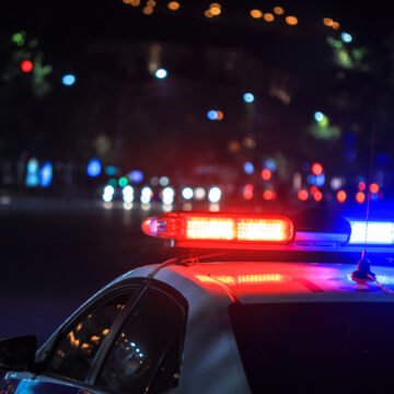 Load of stolen avocados recovered when officer spots tractor trailer