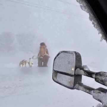 Drivers share their Winter experiences