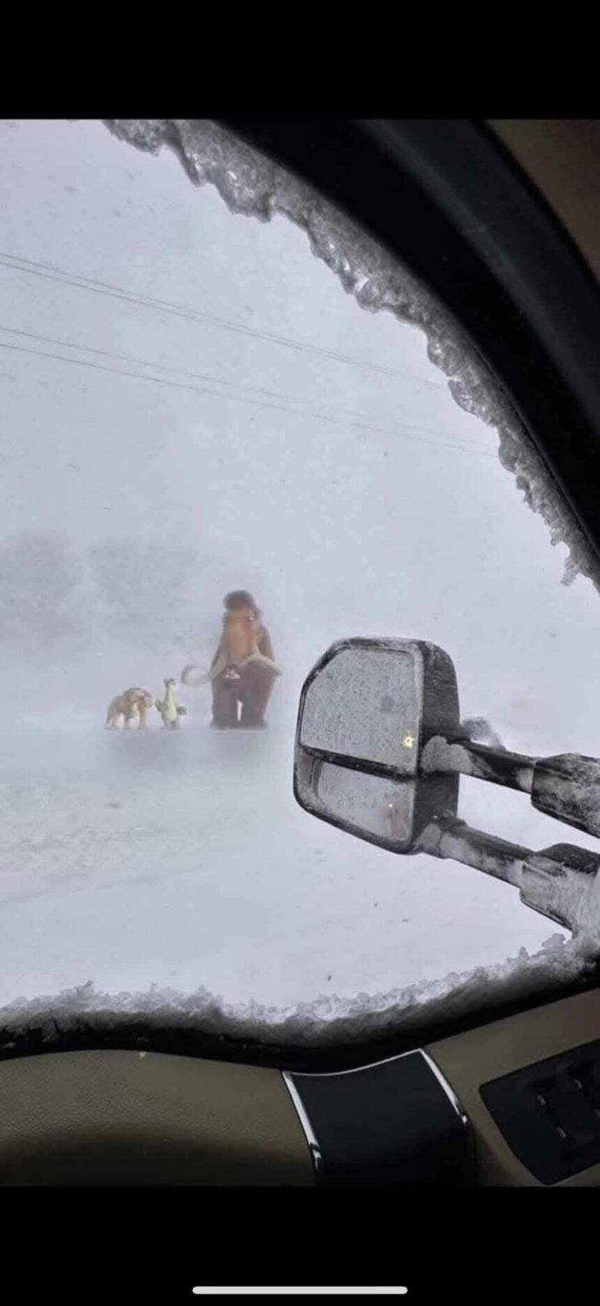 Drivers share their Winter experiences