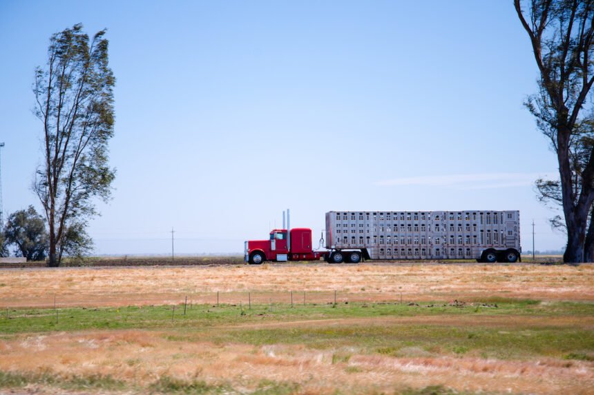 Trucking company owner who expanded family company to entire 48 states dies at 74