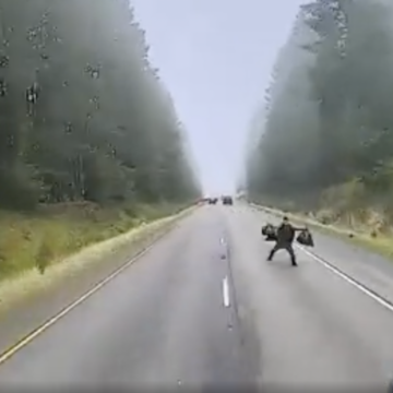 Dash cam shows trucker forced to swerve after man holding bags leaps into his lane