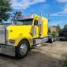 99 freightliner problems