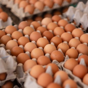 Pennsylvania troopers investigating after 100K eggs stolen from trailer