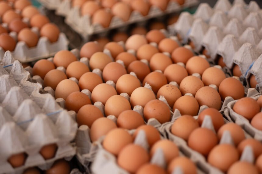Pennsylvania troopers investigating after 100K eggs stolen from trailer