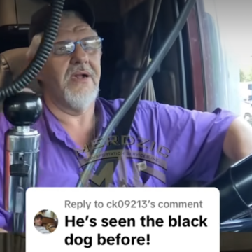 This is what you do if you see the Black Dog …