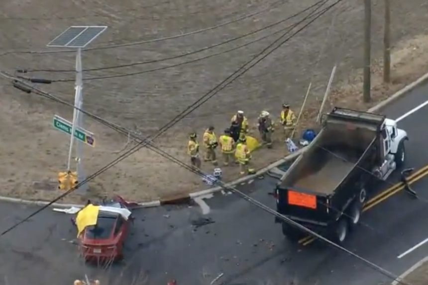 Tesla driver dead after veering into oncoming Mack truck