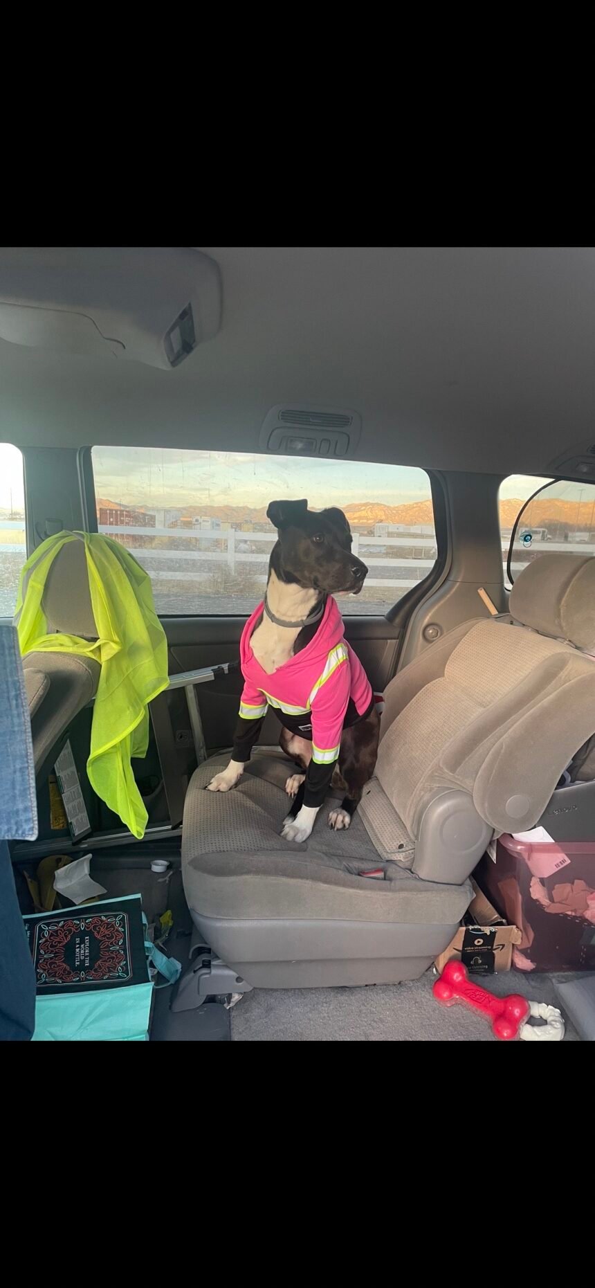 Truckers share co-pilots and spot wildlife OTR on CDLLife App